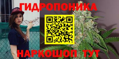 a pvp Азнакаево