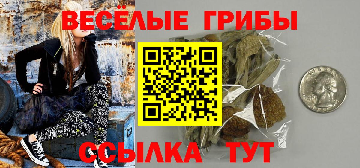 Галлюциногенные грибы Magic Shrooms Алексеевка