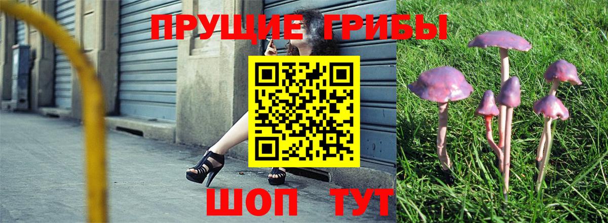 Алексеевка  Галлюциногенные грибы MAGIC MUSHROOMS  Вход с VPN  Галлюциногенные грибы прущие грибы 